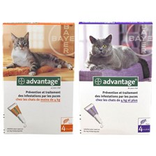 PIPETTE INSECTIFUGE CHAT BAYER ADVANTAGE - PACK DE 4