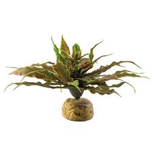 PLANTE PLASTIQUE EXOTERRA CACTUS ETOILE