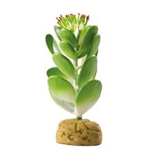 PLANTE PLASTIQUE EXOTERRA CACTUS JADE
