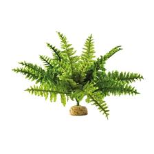 40K_Atelier décors en vue d'une nouvelle table Jungle Plante-plastique-exoterra-fougere-de-boston-f-292-29281