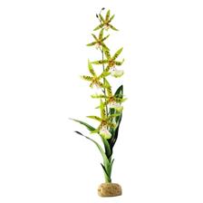 PLANTE PLASTIQUE EXOTERRA ORCHIDEE