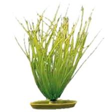 PLANTE PLASTIQUE MARINA GAZON D'EAU