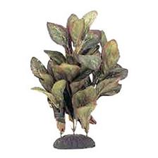 PLANTE SOIE MARINA LOBELIA