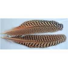 PLUME DE PAON MOUCHETE DEVAUX