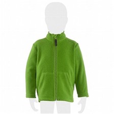 POLAIRE QUECHUA FORCLAZ 500 JUNIOR VERT