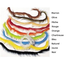 POLECAT (PUTOIS) STRIP JMC
