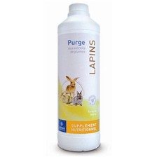 PURGE LAPIN DEMAVIC LABORATOIRE
