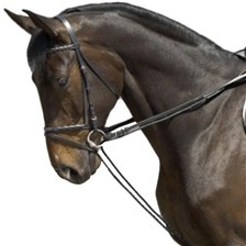 RENES ALLEMANDES FOUGANZA CUIR ET CORDE NOIRES