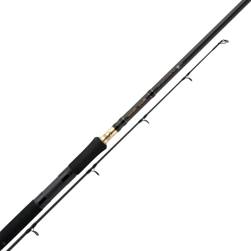 SALTWATER ROD SHIMANO BEASTMASTER SEA BASS