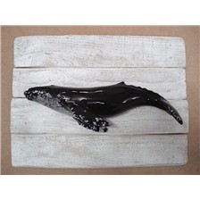 SCULPTURE DEMI-COQUE CAP VERT BALEINE A BOSSES