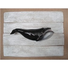 SCULPTURE DEMI-COQUE CAP VERT BALEINE FRANCHE