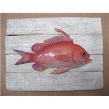 SCULPTURE DEMI-COQUE CAP VERT BARBIER OU ANTHIAS
