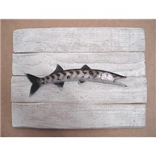 SCULPTURE DEMI-COQUE CAP VERT BARRACUDA