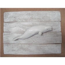 SCULPTURE DEMI-COQUE CAP VERT BELUGA