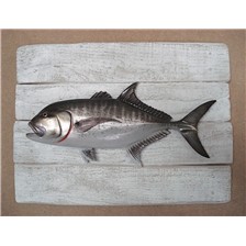 SCULPTURE DEMI-COQUE CAP VERT CARANGUE IGNOBILIS