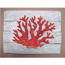 SCULPTURE DEMI-COQUE CAP VERT CORAIL