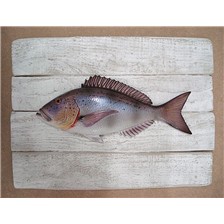 SCULPTURE DEMI-COQUE CAP VERT DENTI