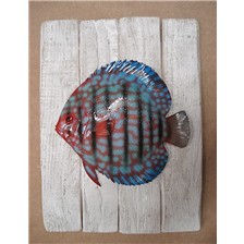 SCULPTURE DEMI-COQUE CAP VERT DISCUS