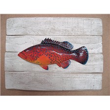 SCULPTURE DEMI-COQUE CAP VERT MEROU DE CORAIL