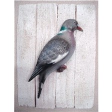 SCULPTURE DEMI-COQUE CAP VERT PALOMBE