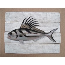 SCULPTURE DEMI-COQUE CAP VERT POISSON COQ