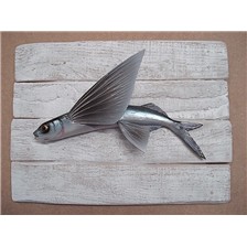 SCULPTURE DEMI-COQUE CAP VERT POISSON VOLANT