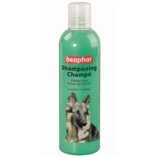 SHAMPOOING CHIEN BEAPHAR PELAGE GRAS AUX PLANTES