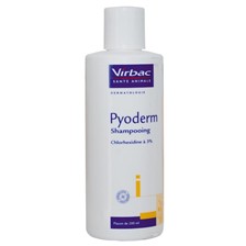 SHAMPOOING CHIEN / CHAT VIRBAC PYODERM