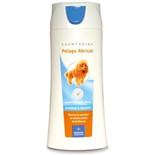 SHAMPOOING CHIEN DEMAVIC LABORATOIRE PELAGE ABRICOT