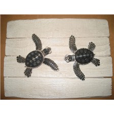 STRUCTURE DEMI-COQUE CAP BEBES TORTUES