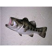 STRUCTURE DEMI-COQUE RELIEF CAP VERT BLACK BASS
