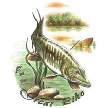 TEE SHIRT TECHNIPECHE AMERICAN STYLE GREAT PIKE