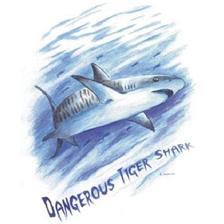 TEE SHIRT TECHNIPECHE AMERICAN STYLE TIGER SHARK