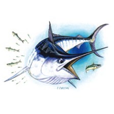 TEE SHIRT TECHNIPECHE MARLIN BLEU