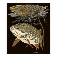 TEE SHIRT TECHNIPECHE SERIGRAPHIE BROCHET ET NENUPHAR