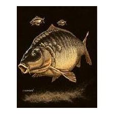 TEE SHIRT TECHNIPECHE SERIGRAPHIE CARPE CUIR