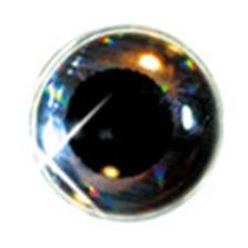 YEUX DELALANDE 3D