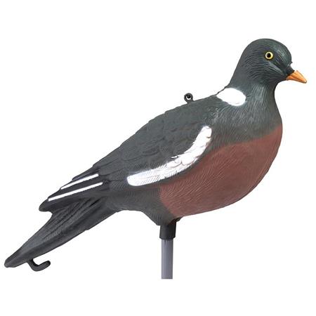 AANLOKKING STEPLAND PIGEON RAMIER HD