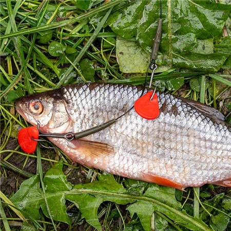 AASVOORRAAD ZECK BAIT FLAG