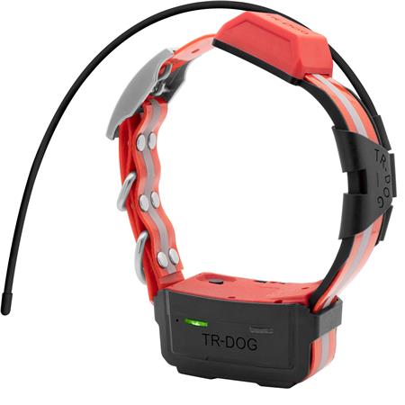 ADDITIONAL COLLAR ROG TR DOG V2