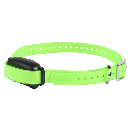 Additional Training Collar Prohunt