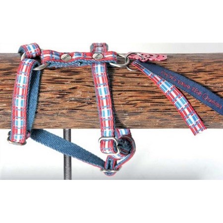 Adjustable Harness For Dog Image Dog Save The Queen
