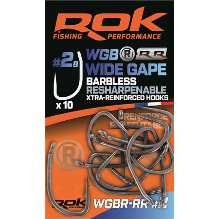 Αγκίστρι Για Κυπρίνο Rok Fishing Wgbr-Rr