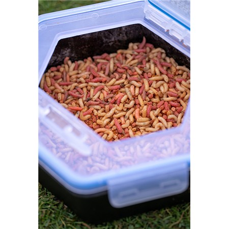 AGNKASSE ZEBCO SECURE-LOCK BAIT BOX AND SIEVE