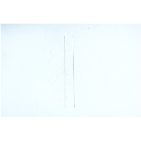 Aiguille À Vers A Bibi + Tube Pafex - 20Cm - Par 2