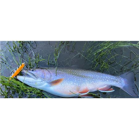 AMOSTRA AFUNDANTE STUCKI FISHING FANATICS INSPECTOR 80 - 8CM