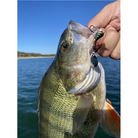AMOSTRA AFUNDANTE STUCKI FISHING FANATICS METAL SPIN- SCORER - 7G