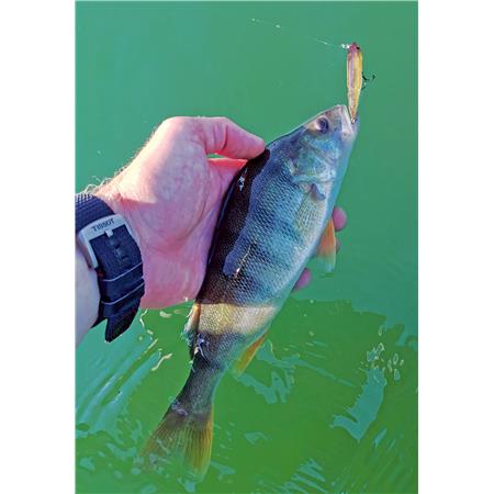 AMOSTRA DE SUPERFÍCIE STUCKI FISHING FANATICS STRAYER 60F - 6CM