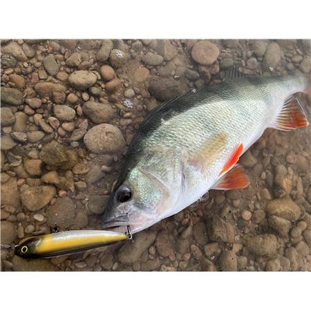 AMOSTRA DE SUPERFÍCIE STUCKI FISHING FANATICS STRAYER 82F - 8.2CM