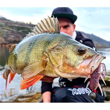 AMOSTRA FLEXÍVEL MONKEY LURES CRABY LUI - 7.5CM - PACK DE 6